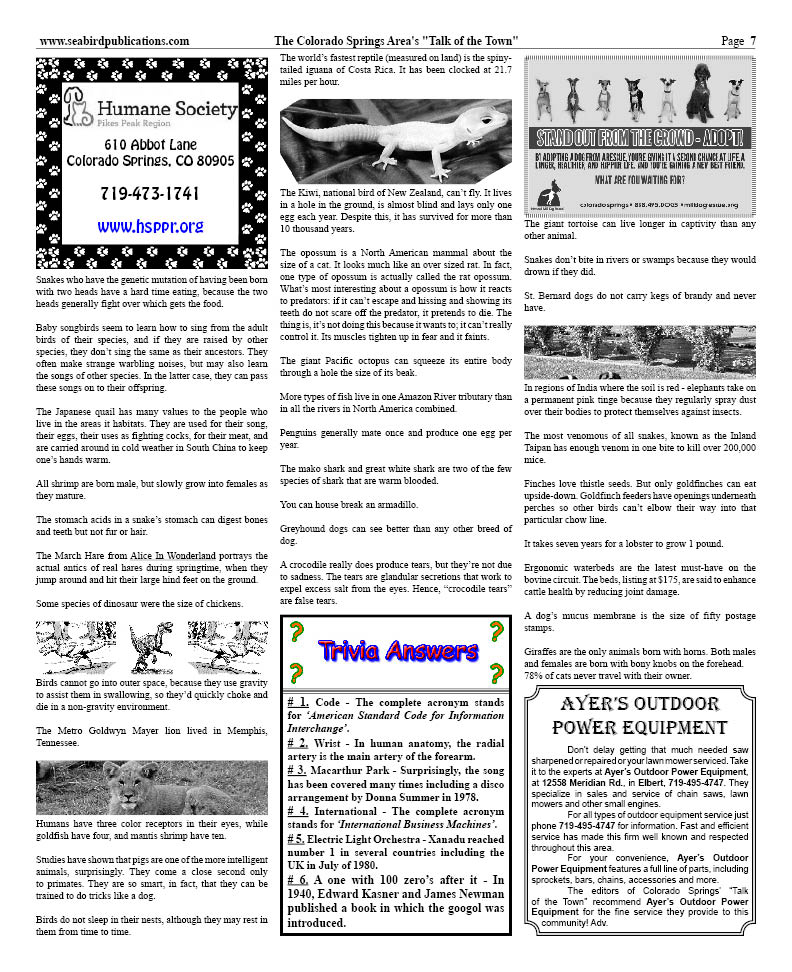 Colorado Springs page 7