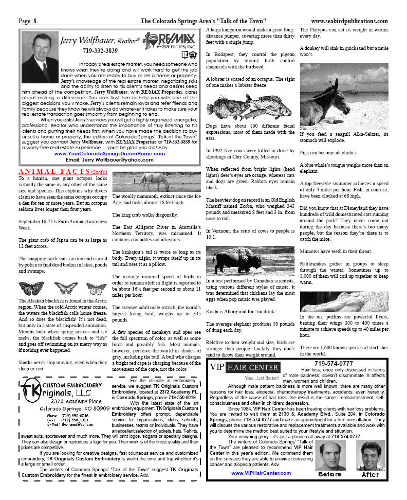 Colorado Springs page 8