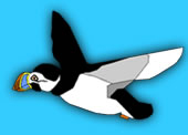 Flying Bird